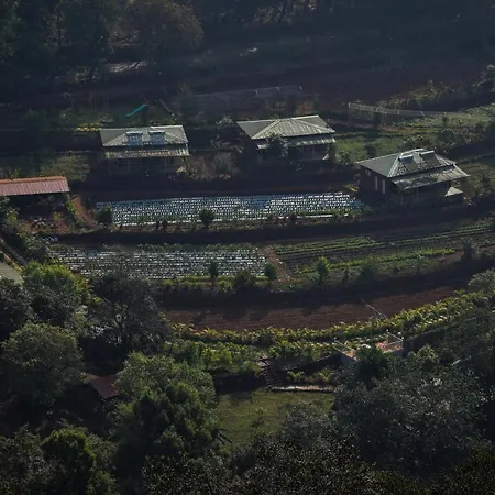 Jungle Valley Agriculture Resort-2