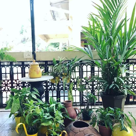 Hotel Paulino-3