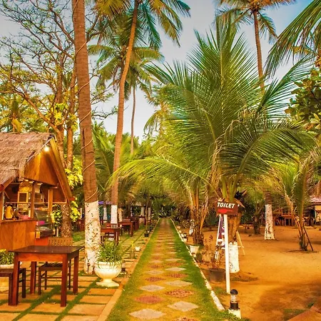 Coconut Beach Lodge-2
