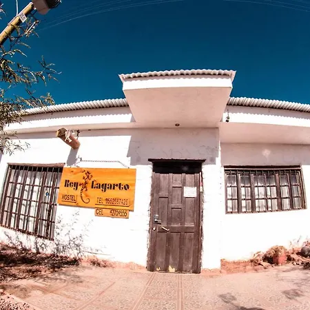 Rey Lagarto Hostel-2