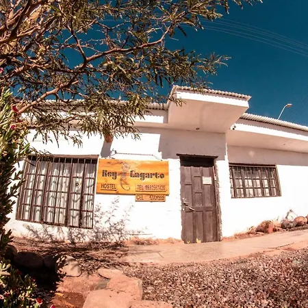 Rey Lagarto Hostel-3