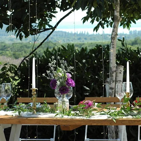 Koczor Winery & Guesthouse-2