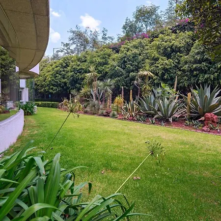 Sheraton Santa Fe, Mexico City-2