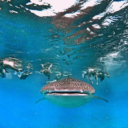 Athiri Beach Maldives-2
