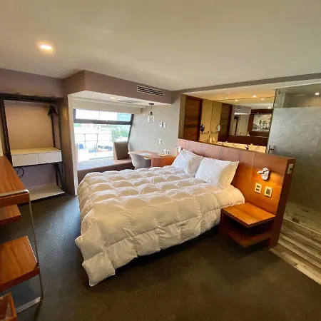 Hotel Cle Reforma Insurgentes-3
