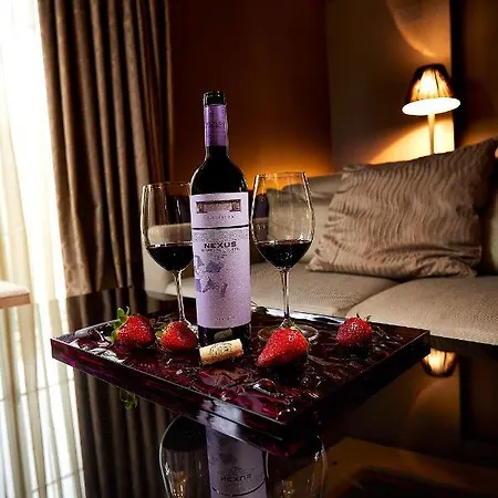Nexus Valladolid Suites&Hotel-3
