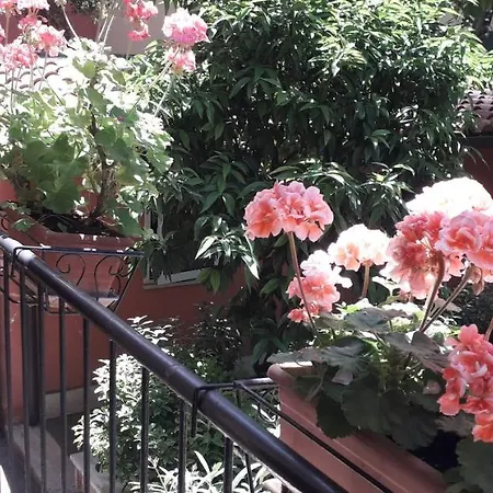 Gioia Guest House Rome-3
