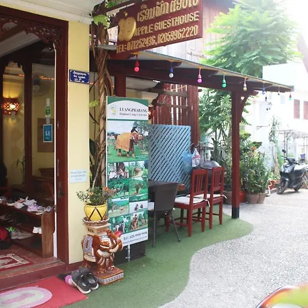 Apple Guesthouse-2