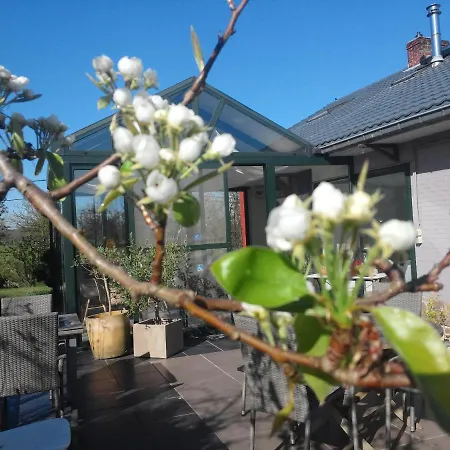 Pluimpapaver Hotel & Glamping-2