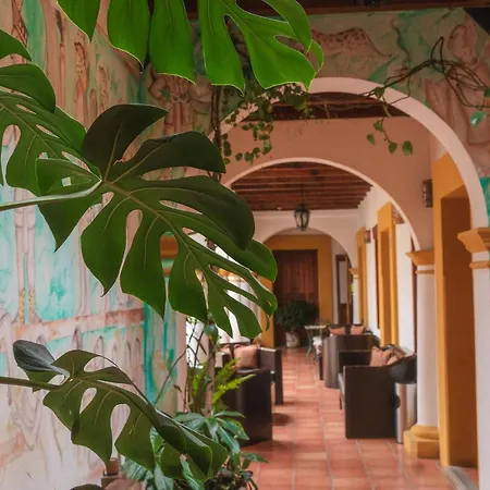 Hotel Casa Margarita-2