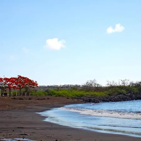 Black Beach House-3