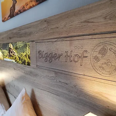 Hotel Bigger Hof - Wirtshaus Platzhirsch am Jahnplatz-3