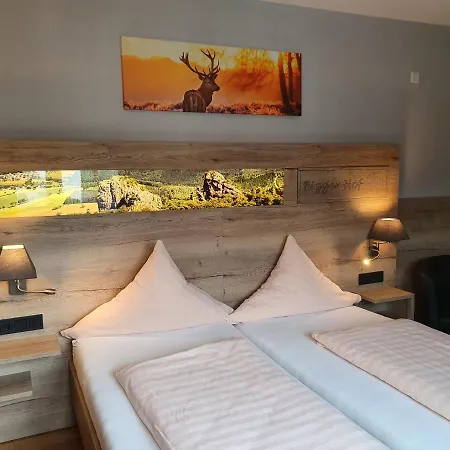 Hotel Bigger Hof - Wirtshaus Platzhirsch am Jahnplatz-2