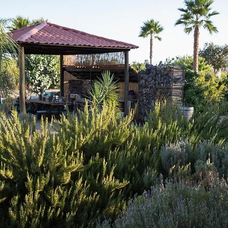 Terra Del Valle Bed & Breakfast-3
