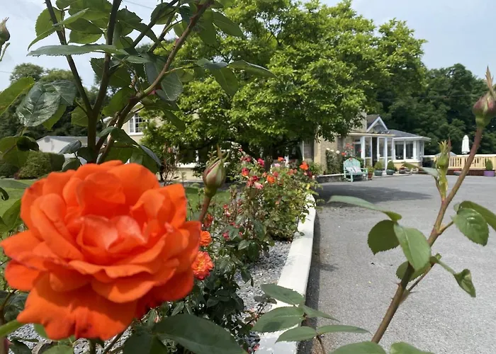 Copperfield House Bed & Breakfast Cashel 