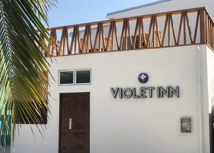 Violet Inn Hotel Dharavandhoo
