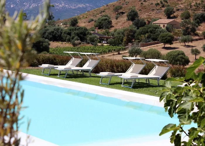 Albero Capovolto Bed & Breakfast Golfo Aranci
