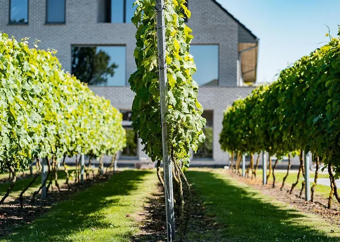 Abalona Hotel & Apartments Dendermonde