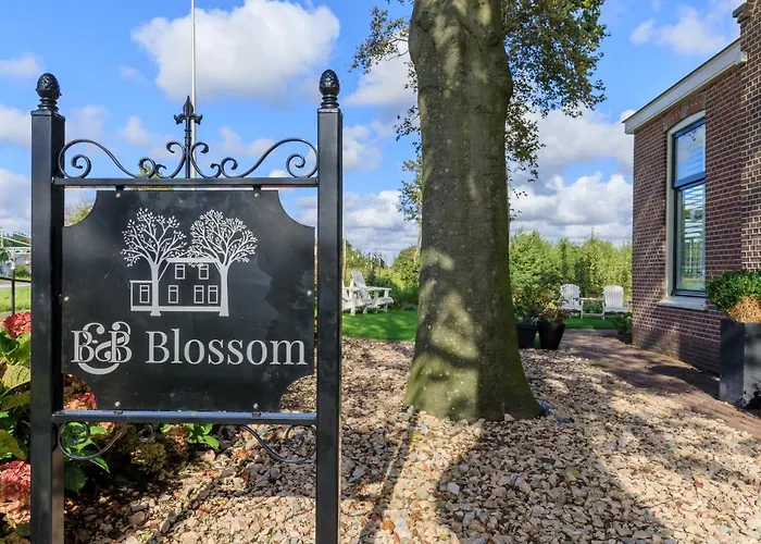 B&B Blossom Lisse