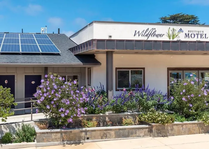 Wildflower Boutique Motel Point Arena