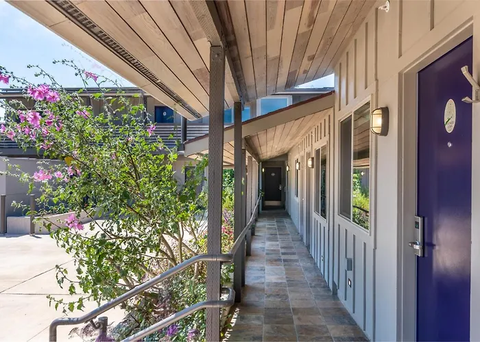 Wildflower Boutique Motel Point Arena