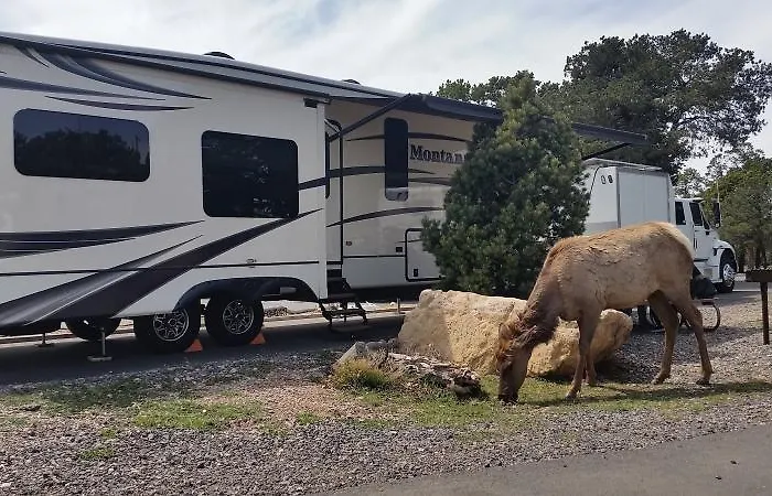 Trailer Village Rv Park Grand Canyon Village