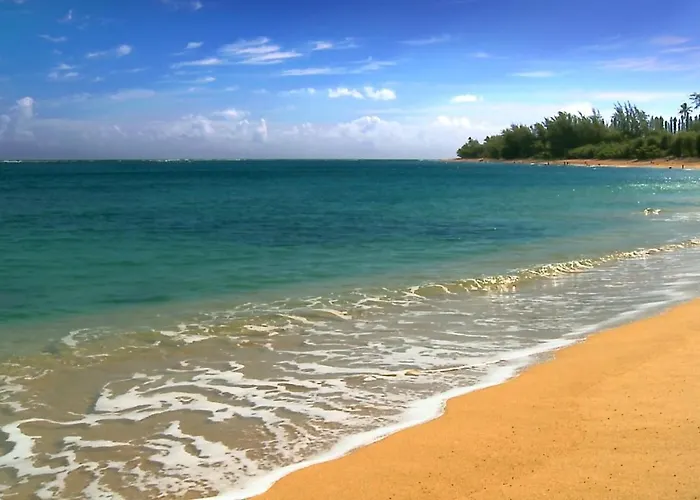 Wonderful Maui Vista-Kihei Kai Nani Beach Condos