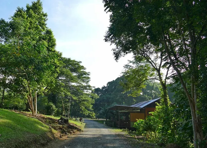 Sepilok B&B
