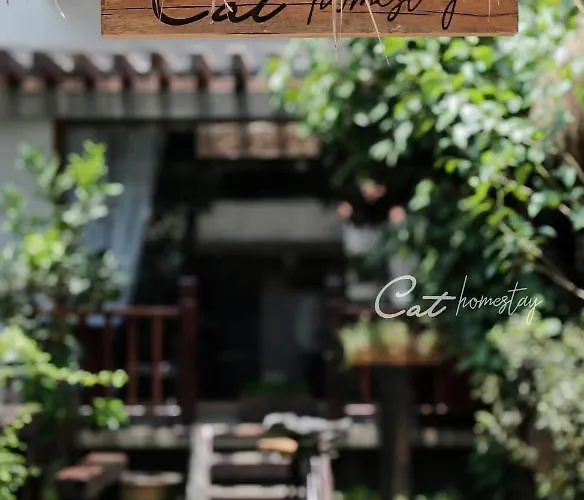 Cat Homestay Huế