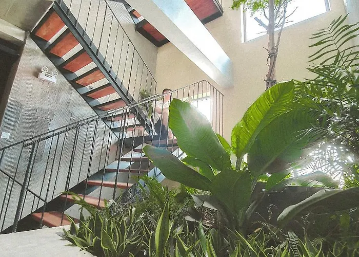 Cagina Boutique Hostel Dong Hoi