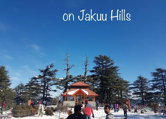 Sai Cottage Shimla