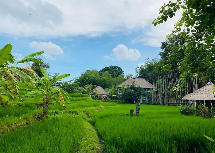 Kts Balinese Villas Canggu 