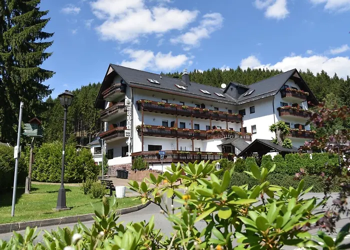 Hotel Thüringer Wald Ilmenau
