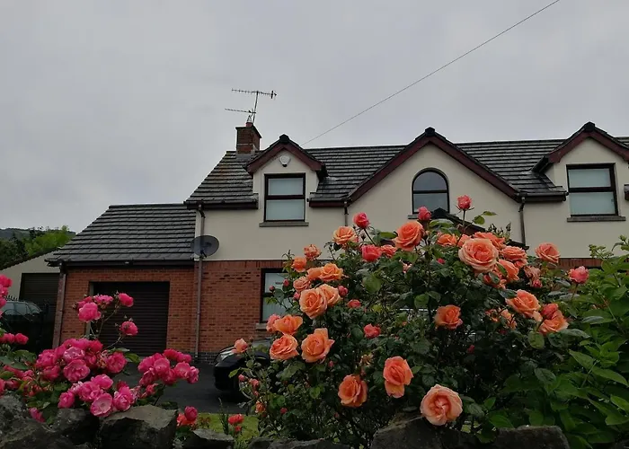 Fox Heaven B&B Carrickfergus