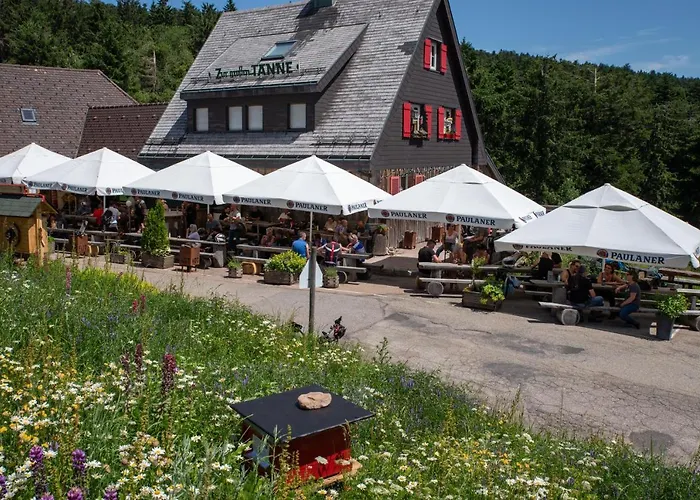 Hotel Zur grossen Tanne Bühl