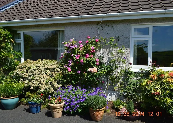 Meadow View B&B Ballymena