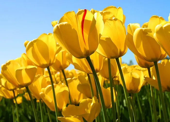 Casa Angela Bed & Breakfast Campobasso
