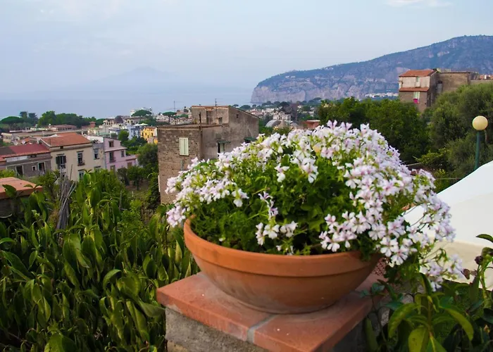 Shanti Home - Restaurant Di Aversano Salvatore Sorrento