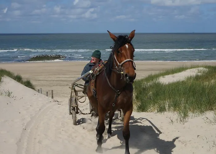 Bed&Breakfast aan Zee Callantsoog