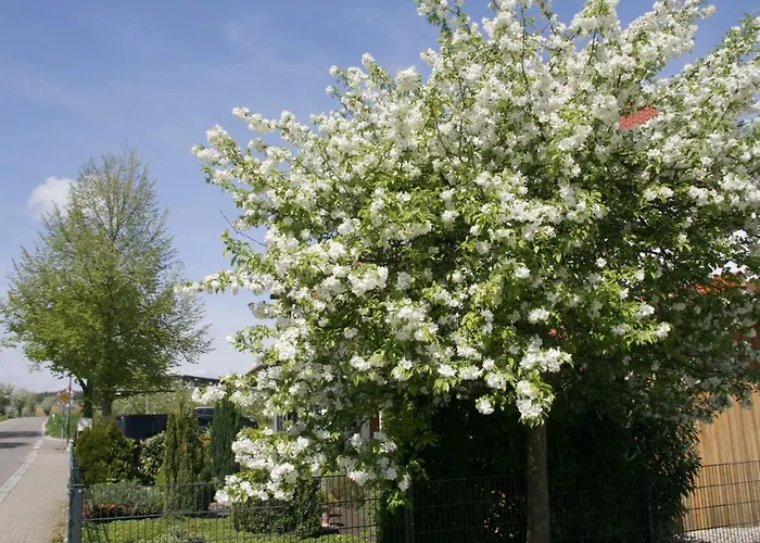 Waldvogel Ferienzimmer klimatisiert Immenstaad am Bodensee