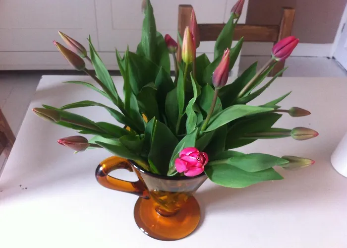 Stone Street Bed & Breakfast Faversham