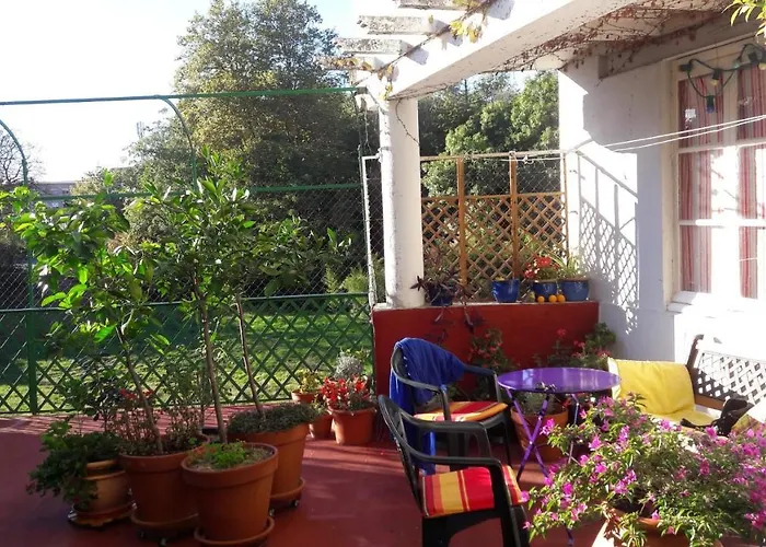 Bed and Breakfast les camélias à Mazamet
