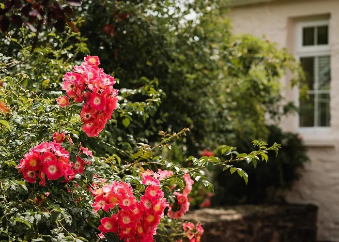 Stoodleigh Court Coach House Bed & Breakfast Tiverton 
