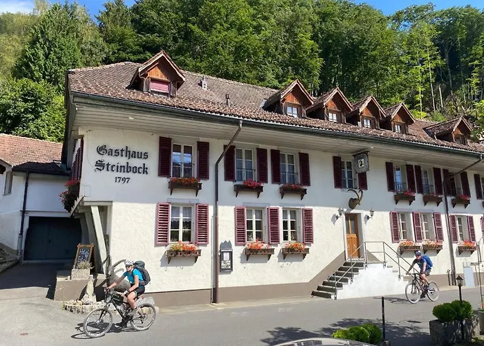 Historic Hotel Steinbock Wilderswil