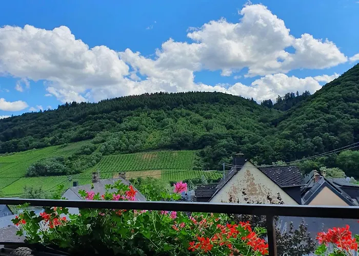 Bed and Breakfast Ferienweingut Stein Valwig