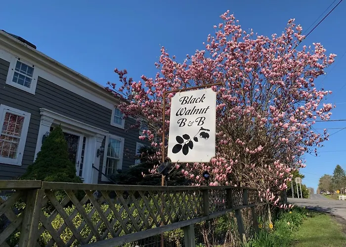 Black Walnut Bed And Breakfast Interlaken