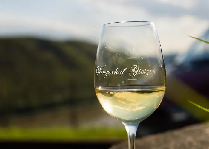 Hotel Winzerhof Gietzen Hatzenport