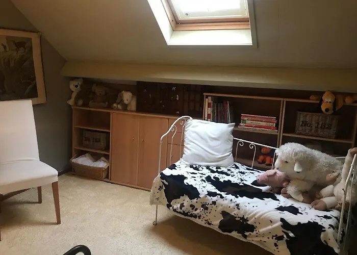 B&B De Koraal Emmen