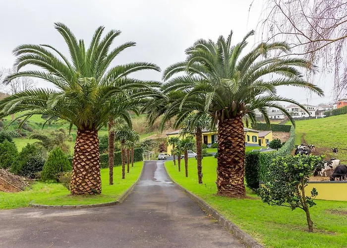 Quinta Das Palmeiras Povoacao 