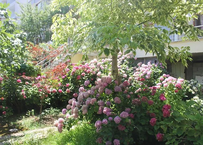 Orkide Motel Pansiyon Yalova 